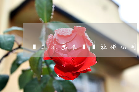 員工不愿意繳納社保，公司是否免責？